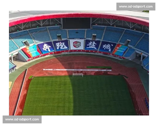 盐城奥体助威声浪掀翻穹顶 女球迷激情呐喊到腿抽筋